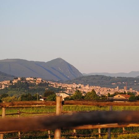 Agriturismo Il Barco Spello Zewnętrze zdjęcie