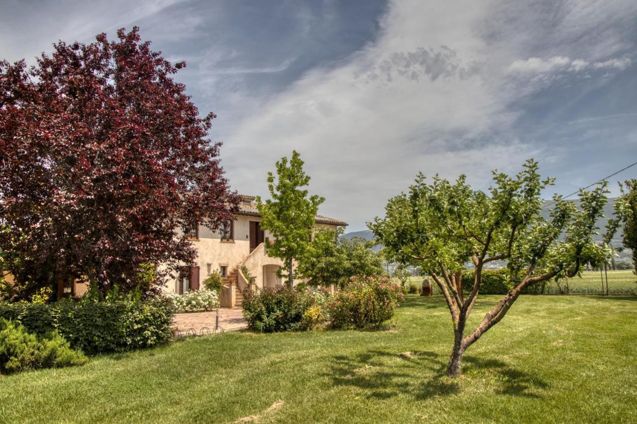 Agriturismo Il Barco Spello Zewnętrze zdjęcie