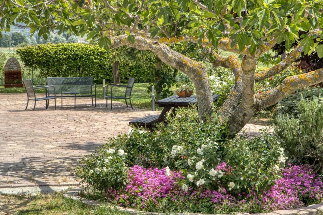 Agriturismo Il Barco Spello Zewnętrze zdjęcie