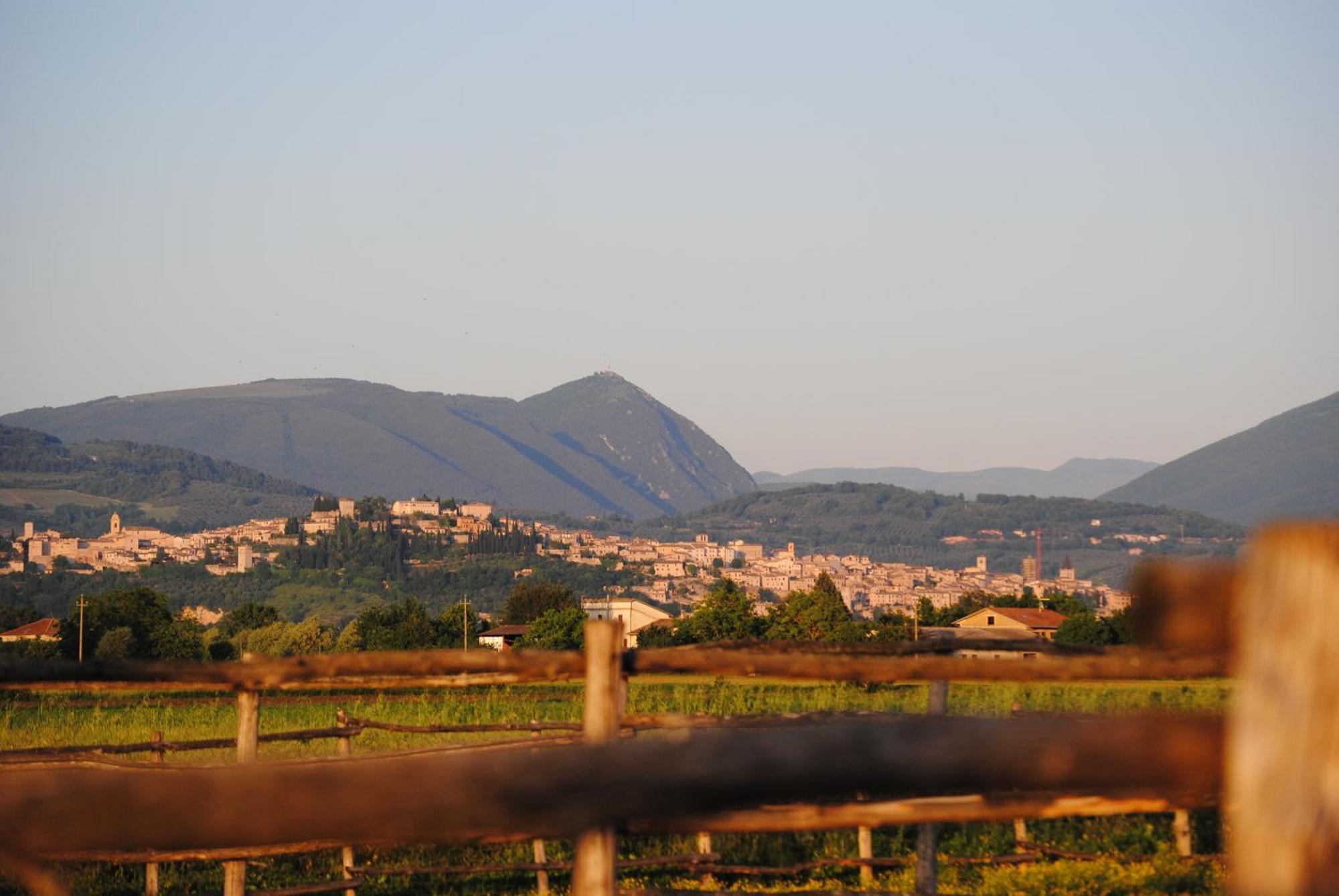 Agriturismo Il Barco Spello Zewnętrze zdjęcie