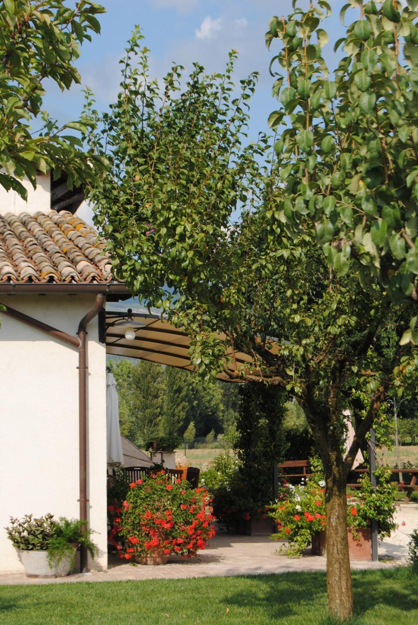Agriturismo Il Barco Spello Zewnętrze zdjęcie