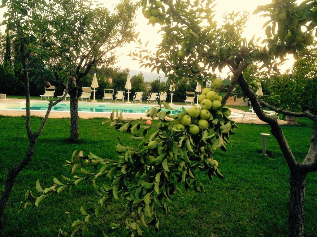 Agriturismo Il Barco Spello Zewnętrze zdjęcie