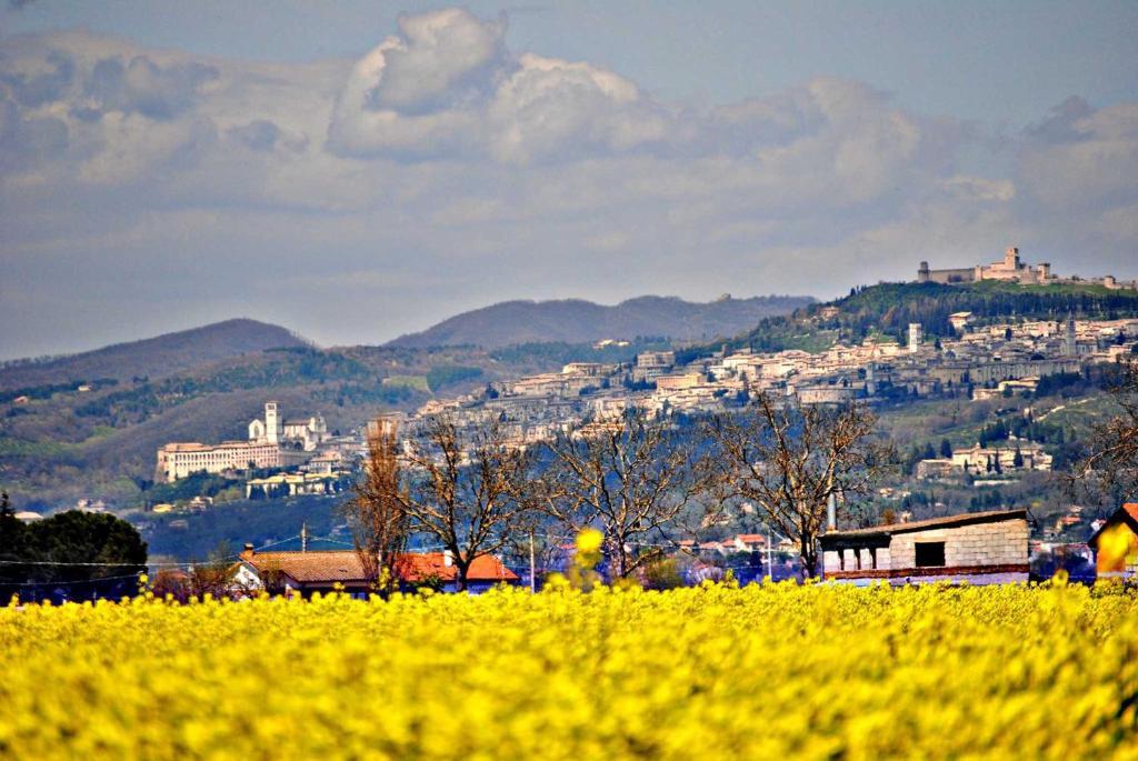 Agriturismo Il Barco Spello Zewnętrze zdjęcie