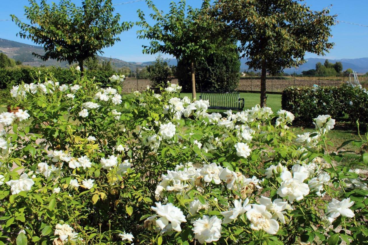 Agriturismo Il Barco Spello Zewnętrze zdjęcie